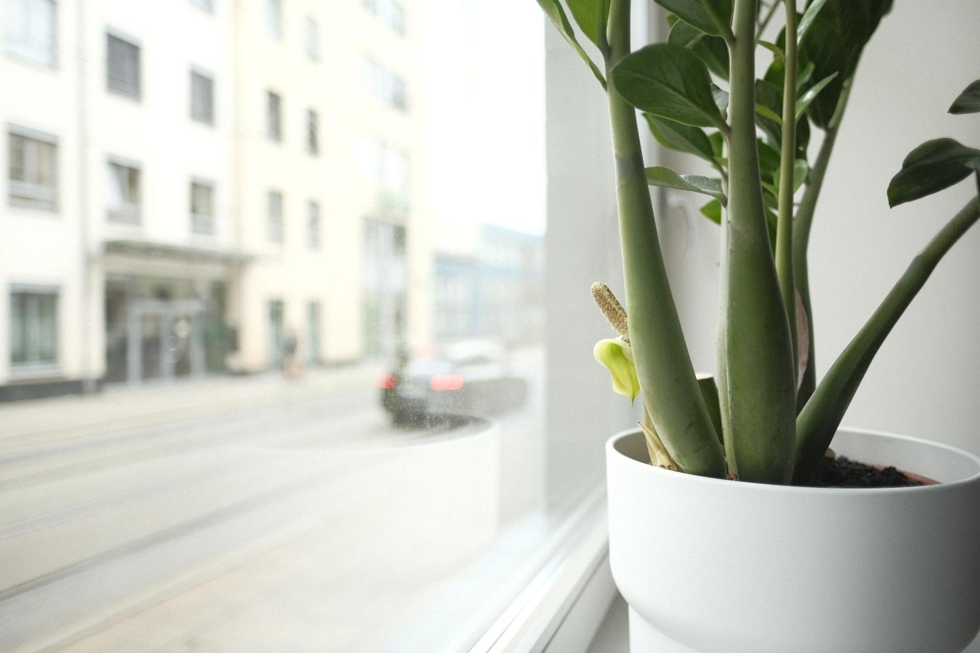 Apartments Zur Alten Konditorei Schwerin  Szoba fotó
